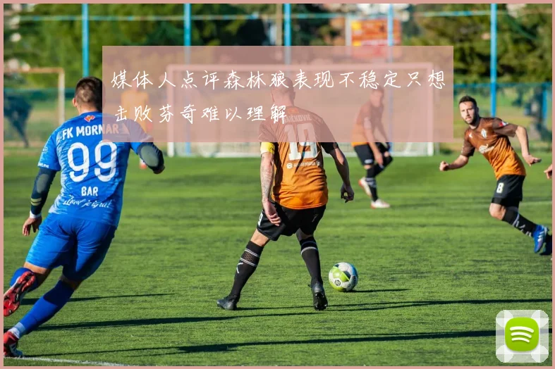 媒体人点评森林狼表现不稳定只想击败芬奇难以理解