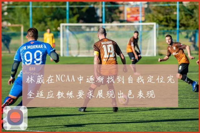 林葳在NCAA中逐渐找到自我定位完全适应教练要求展现出色表现
